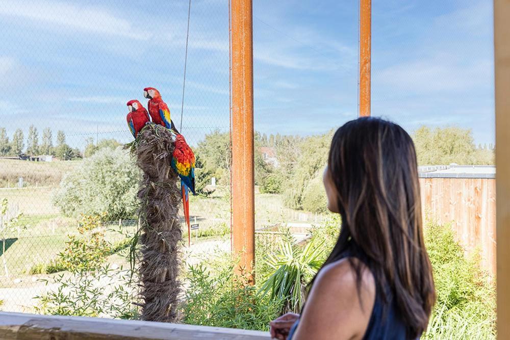 Parrot World - Les Lodges Crecy-la-Chapelle Eksteriør bilde