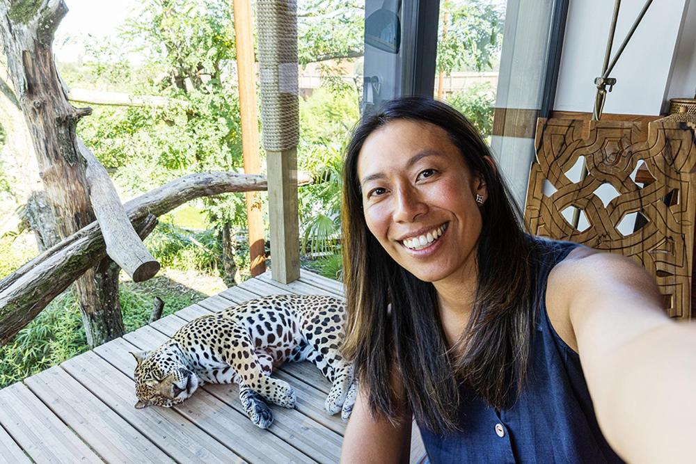 Parrot World - Les Lodges Crecy-la-Chapelle Eksteriør bilde