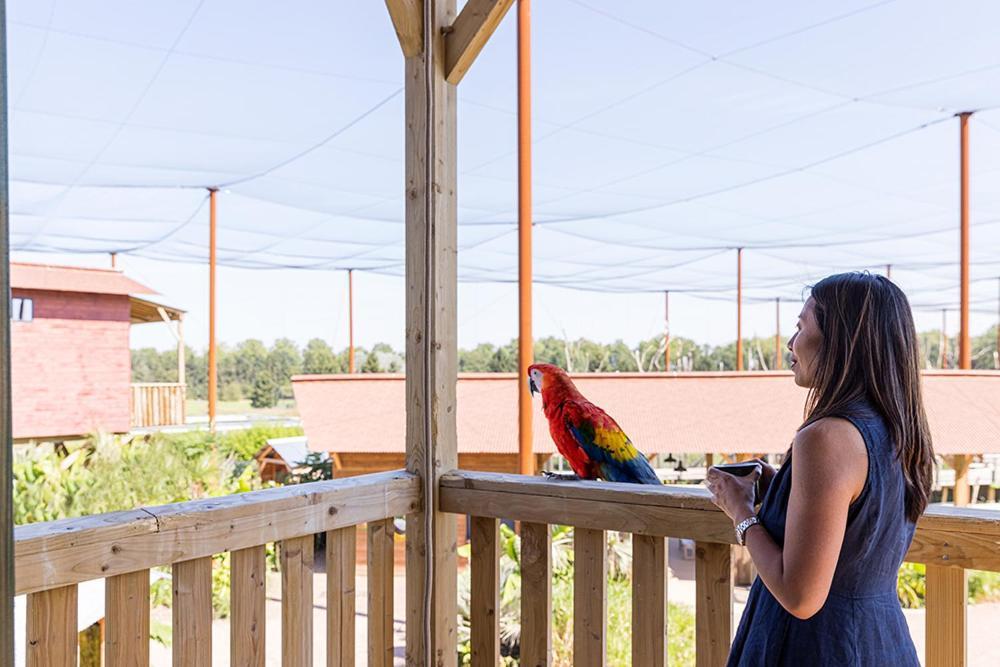 Parrot World - Les Lodges Crecy-la-Chapelle Eksteriør bilde