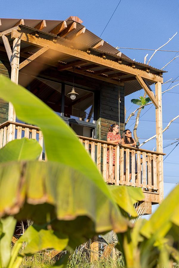 Parrot World - Les Lodges Crecy-la-Chapelle Eksteriør bilde